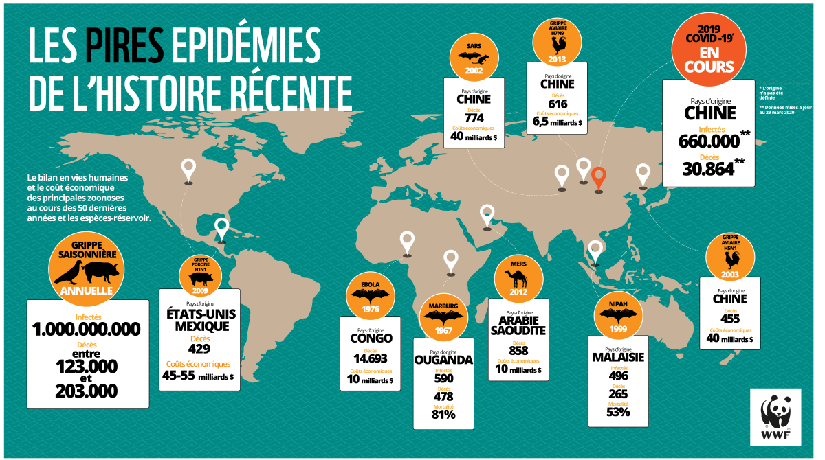 Epidemia infografica FINAL FR