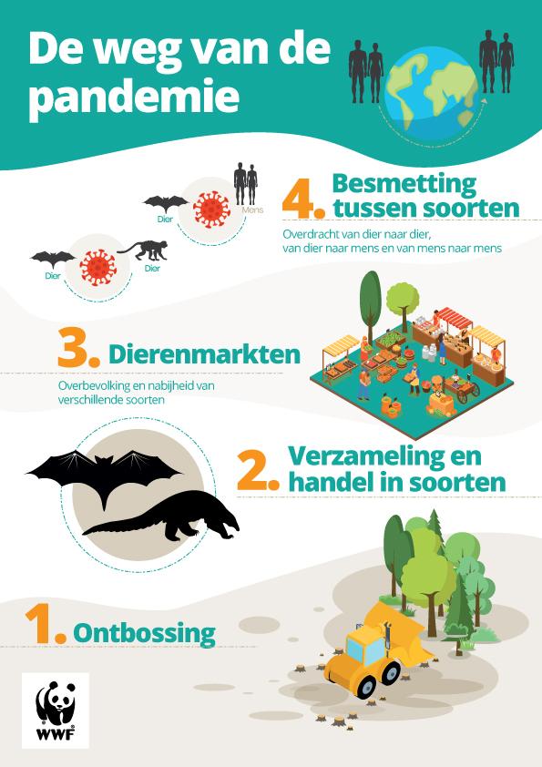 WWF Pandemia infografica NL