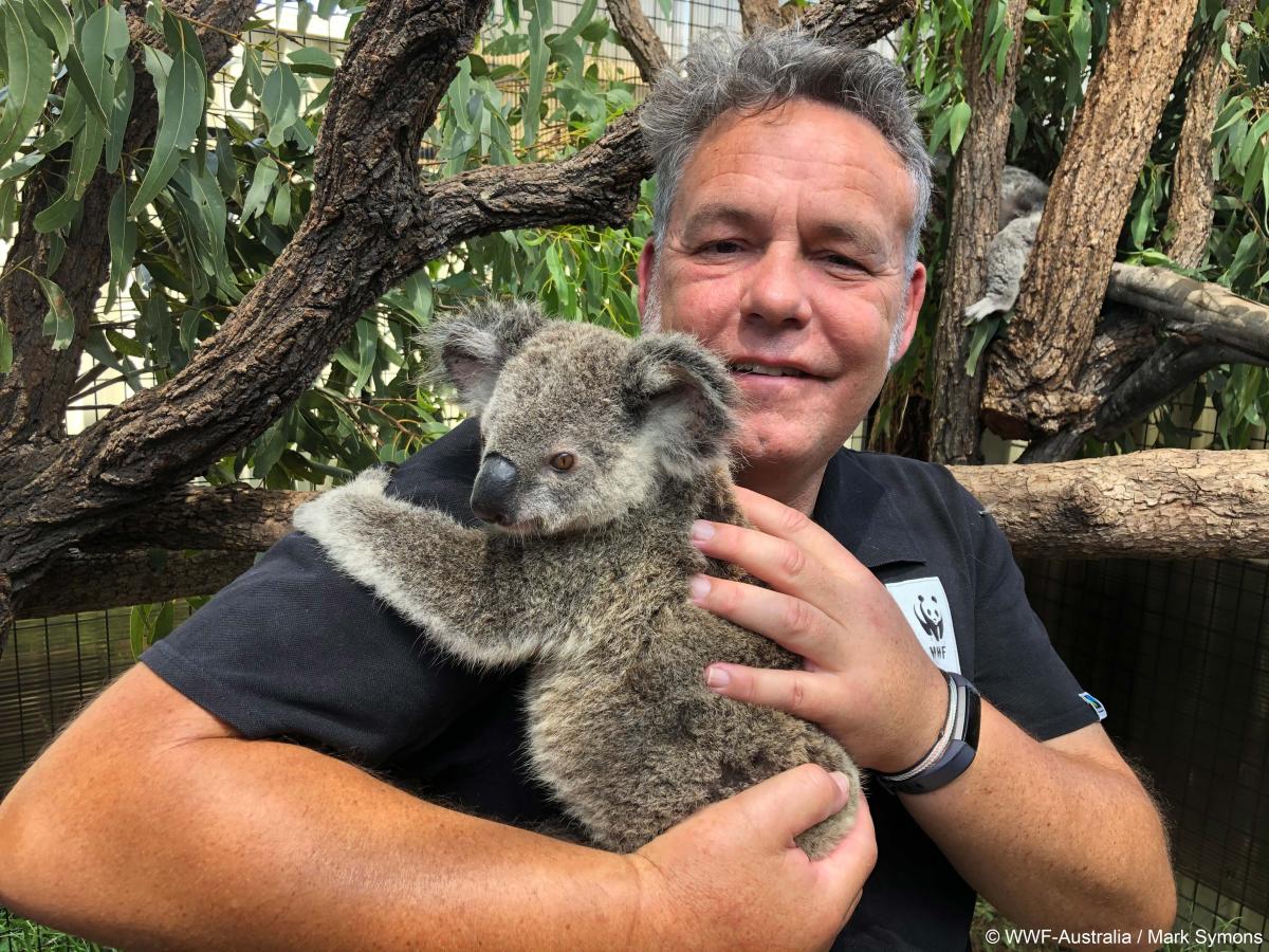 WWF australie koala action actie gallery01