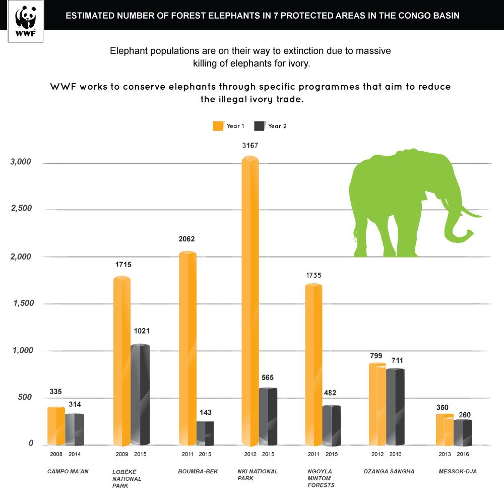 Elephants Infographic Biomonitoring