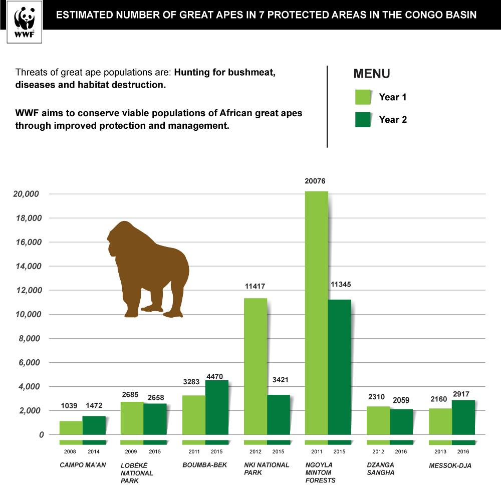 Great Apes Infographic Biomonitoring