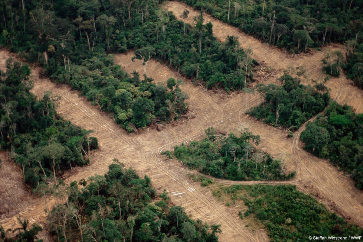 WWF environnement main03