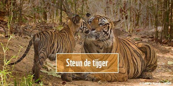 WWF steun de tijger cta