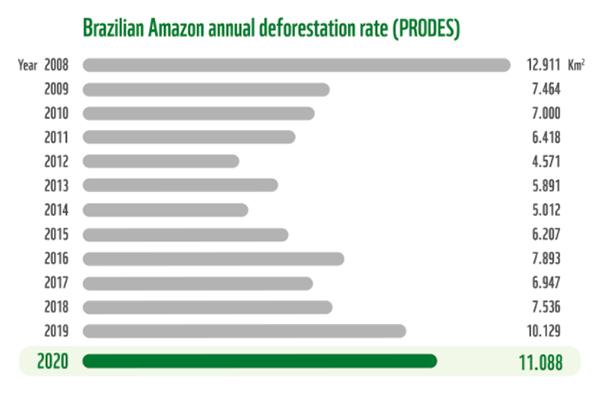 WWF deforestation ontossing amazonie 01