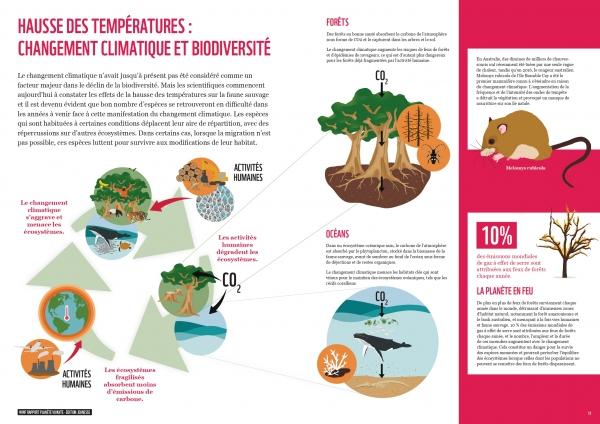 Selon le WWF, la Terre a perdu 60 % de ses animaux sauvages en un  demi-siècle