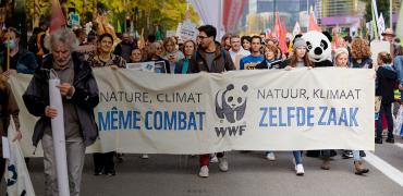 WWF COP 26