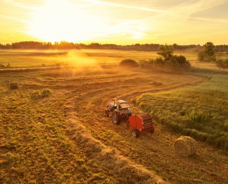 Agriculture
