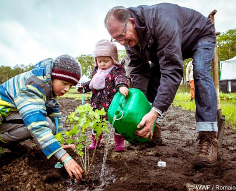 People planting trees
