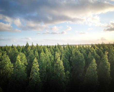 biodiversité biodiversiteit