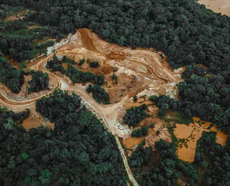 Déforestation