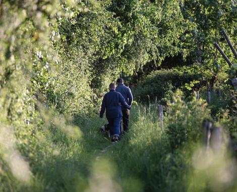 Wandelaars met hond in het Kastanjebos