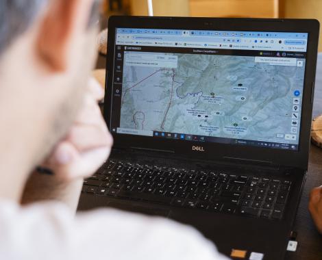 Camera trap surveillance on computer