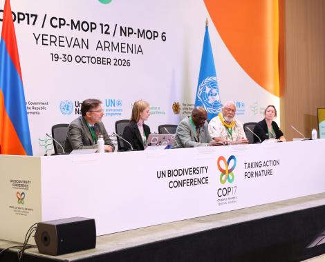 Foto gemaakt tijdens een van de persconferenties tijdens COP17 in Jerevan, Armenië.