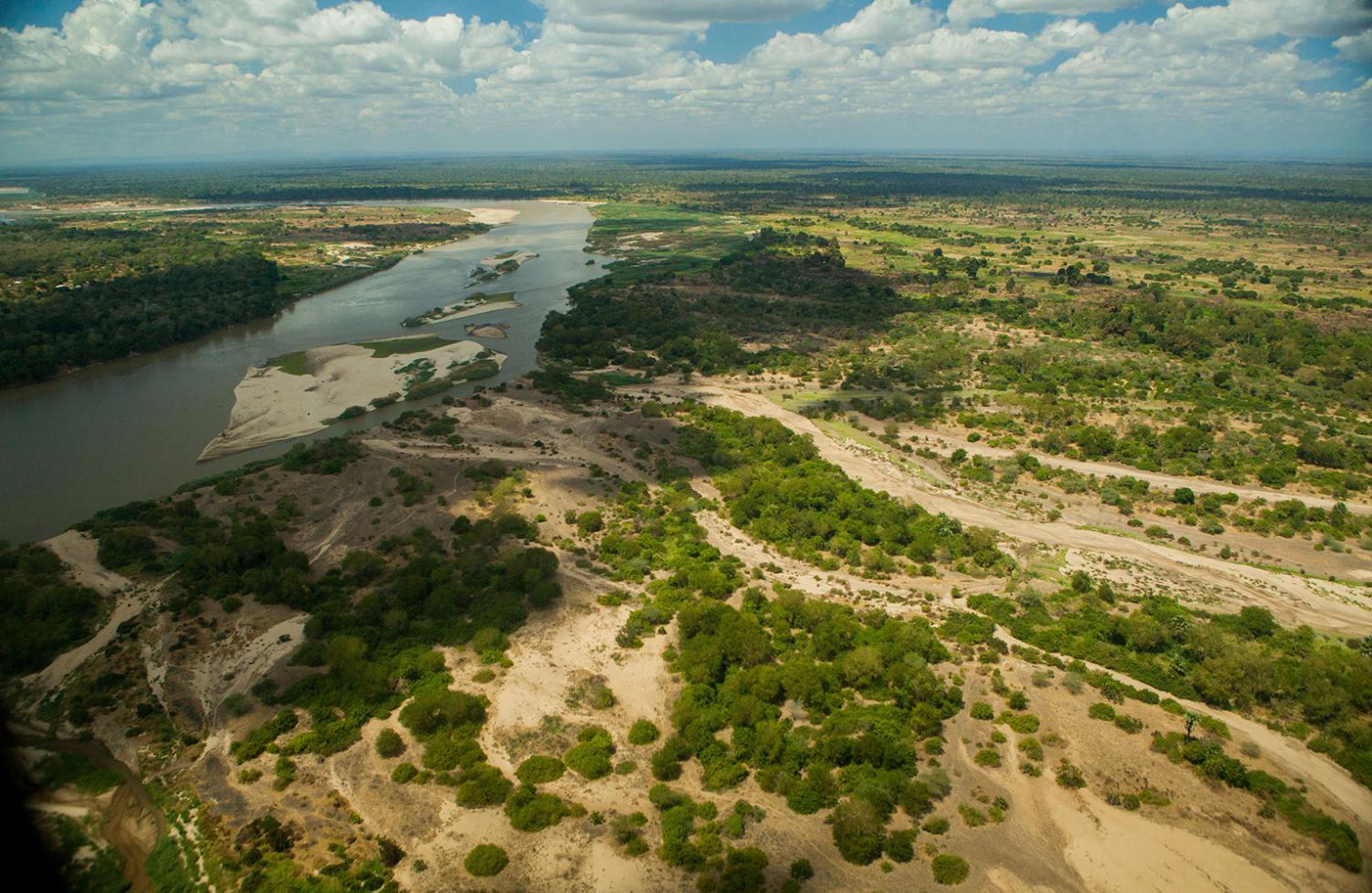 Vue aérienne de l'habitat du rhinocéros en Asie, disparition de l'habitat naturel