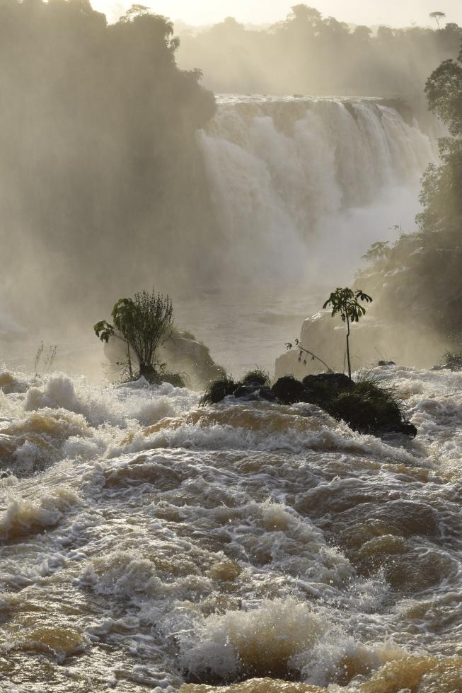 WWF-fonds-crise