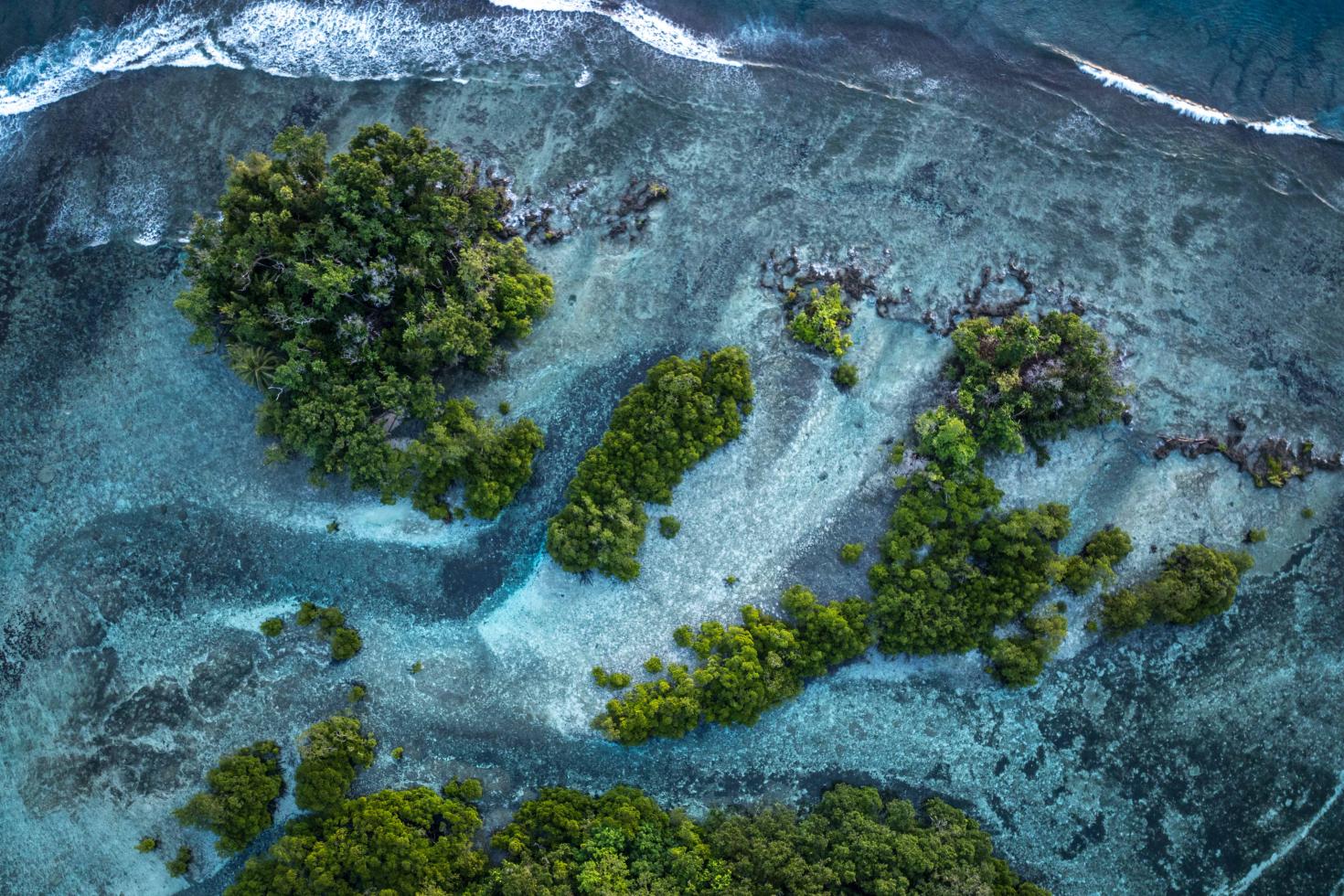 Papua new guinea