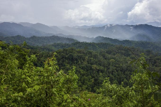 Kaeng Krachan National Park (Thaïland)