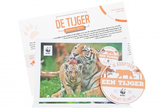 adoptie kit tijger