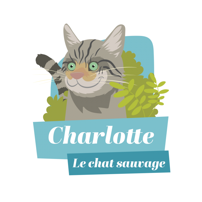 Charlotte le chat sauvage