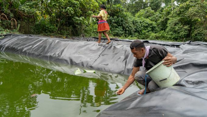 Piscine artificielle pour tortue