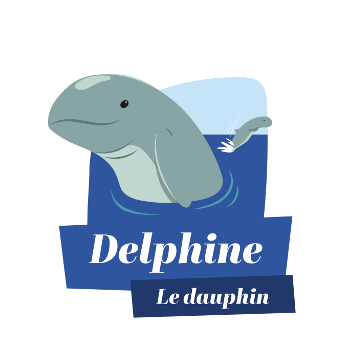 Delphine le dauphin 