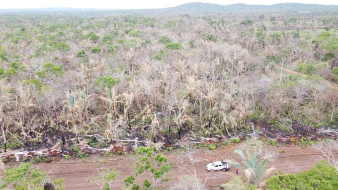 forest burnt bolivia