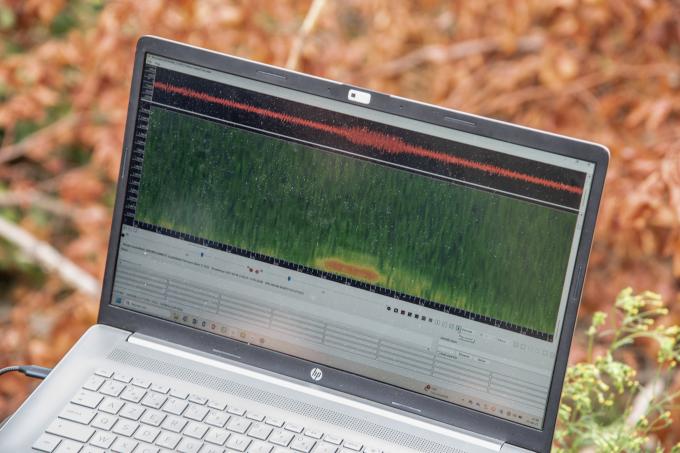 IA in conservation
