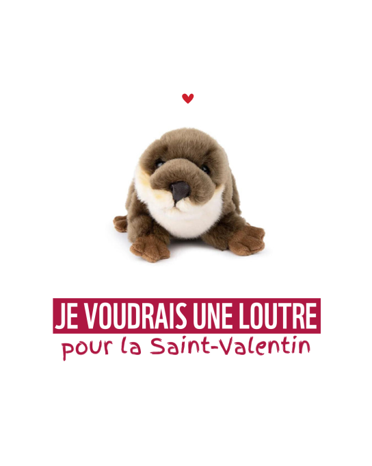 Otter Valentine's