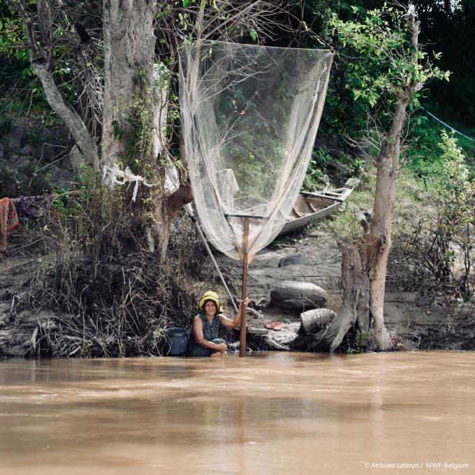 WWF blog mekong irrawaddy dauphin dolfijn gallery01