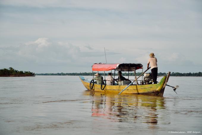 WWF blog mekong irrawaddy dauphin dolfijn gallery14