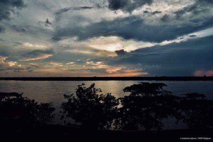 WWF blog mekong irrawaddy dauphin dolfijn gallery17