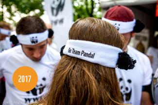 WWF-20km-teampanda-2019