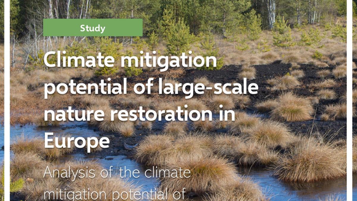 Climate mitigation potential of large-scale nature restoration in ...