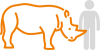 Verhouding neushoorn-mensenmaat